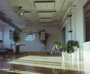 A spacious room with wooden flooring is filled with natural light streaming through large windows. A potted plant with wide, green leaves sits prominently on the floor. The walls are decorated with large speakers and a neon sign that reads 'We work for musicians'. A shiny disco ball and spotlights are visible on the ceiling, contributing to a modern and artistic vibe.