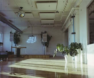 A spacious room with wooden flooring is filled with natural light streaming through large windows. A potted plant with wide, green leaves sits prominently on the floor. The walls are decorated with large speakers and a neon sign that reads 'We work for musicians'. A shiny disco ball and spotlights are visible on the ceiling, contributing to a modern and artistic vibe.