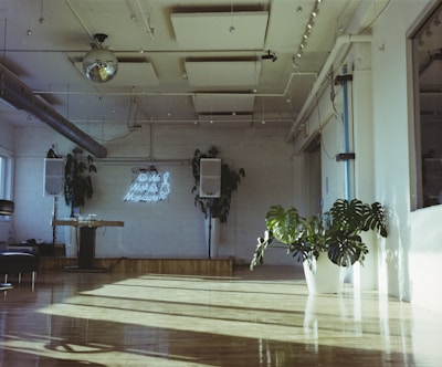 Sunlit studio space where music and scent blend in creative harmony.