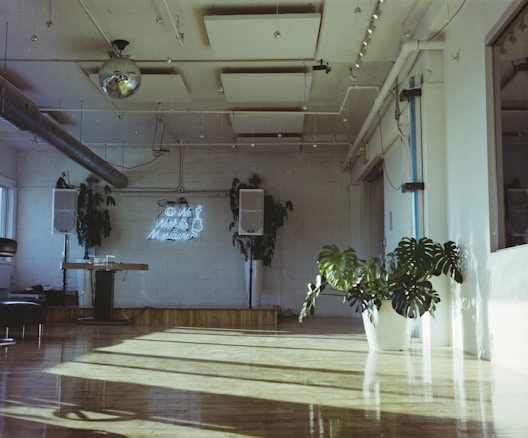 A spacious room with wooden flooring is filled with natural light streaming through large windows. A potted plant with wide, green leaves sits prominently on the floor. The walls are decorated with large speakers and a neon sign that reads 'We work for musicians'. A shiny disco ball and spotlights are visible on the ceiling, contributing to a modern and artistic vibe.