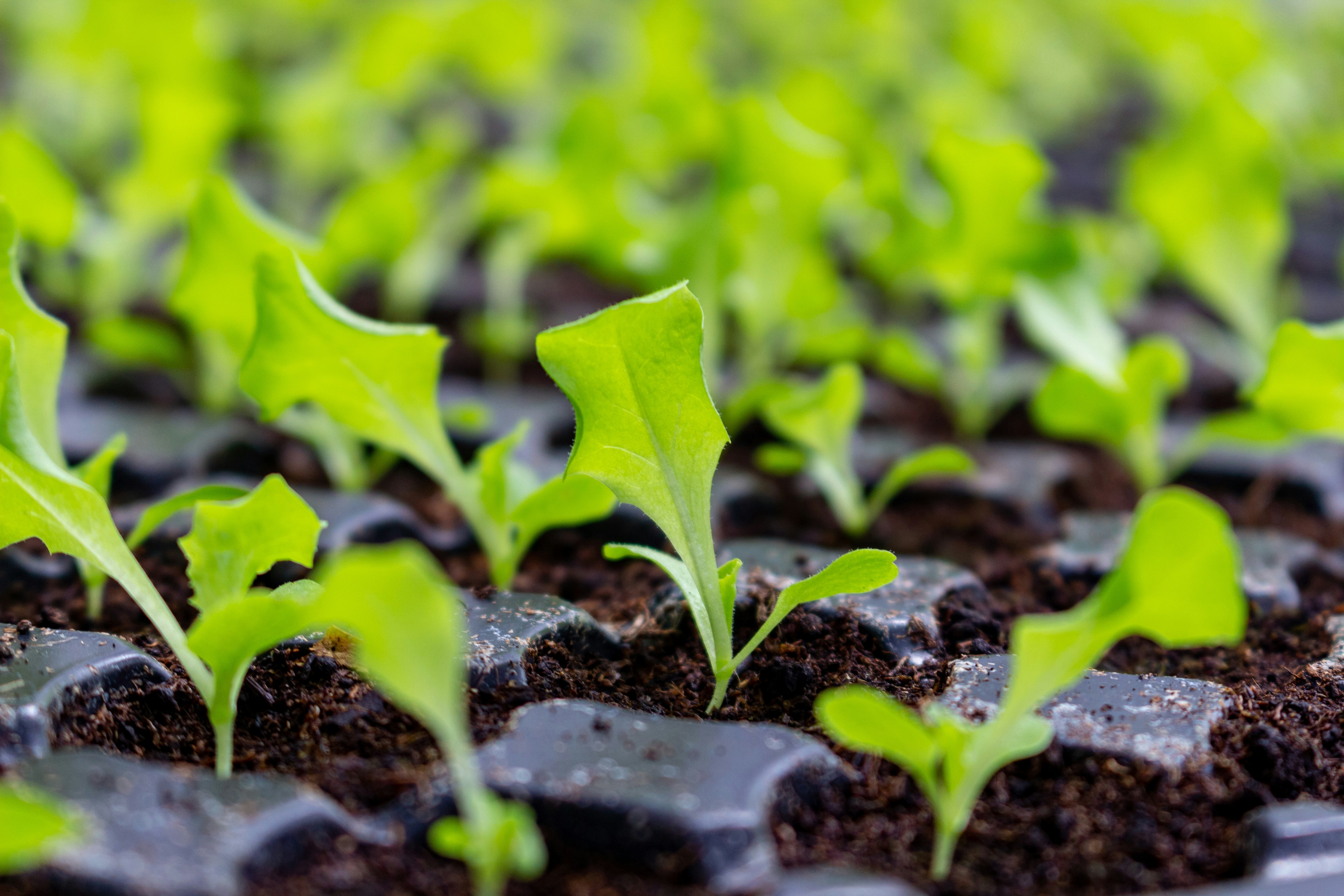 Photo by andywang02021