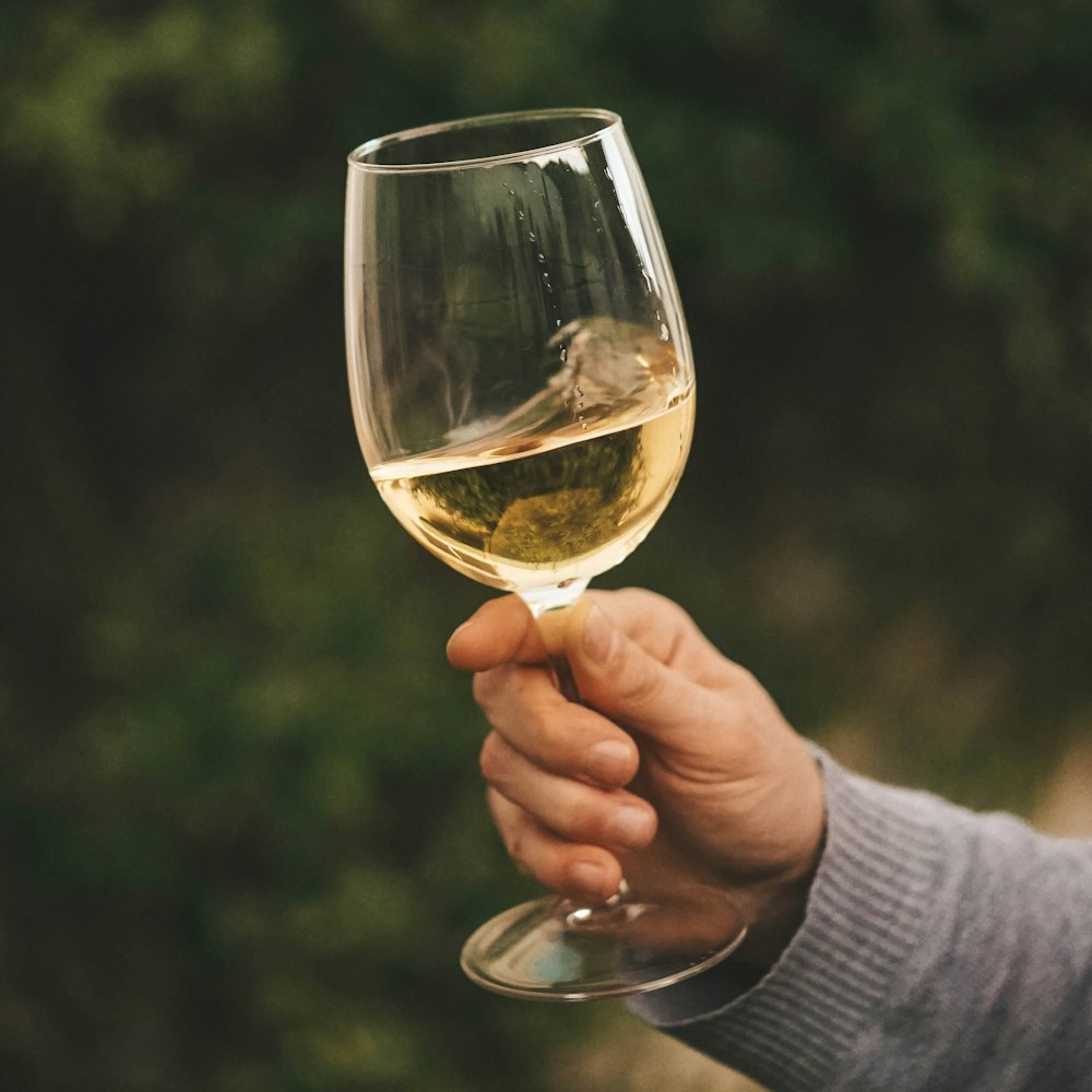 person holding clear wine glass