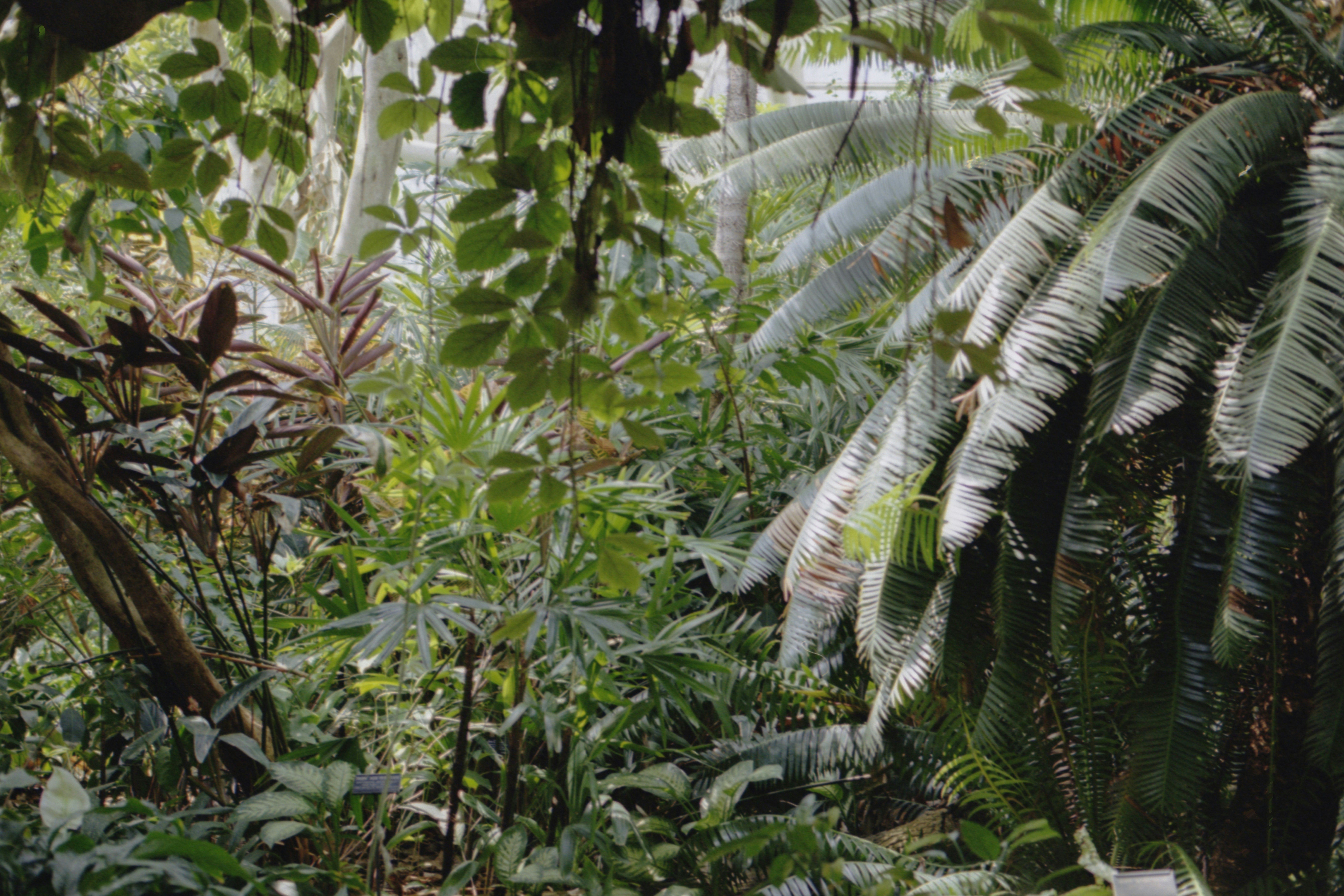 Photo by anniespratt