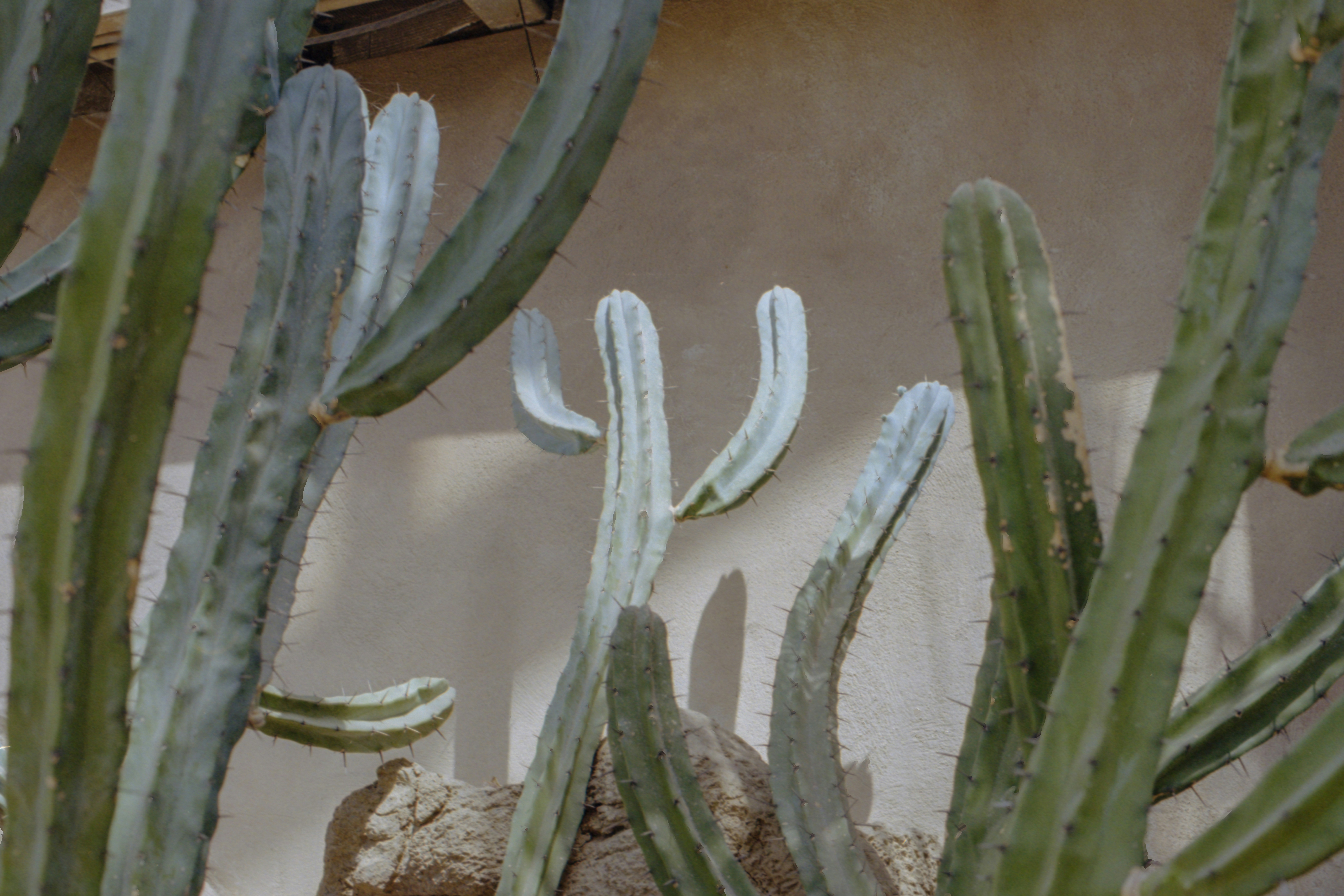 Photo by anniespratt