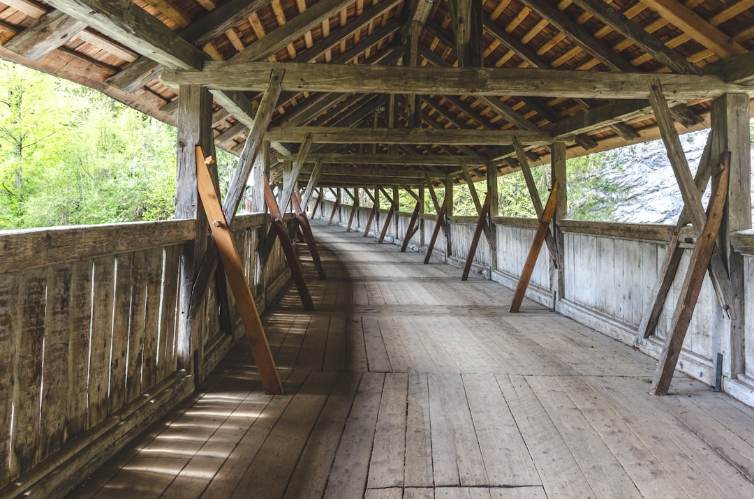 brown wooden walk bridge