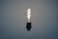 lighted light bulb