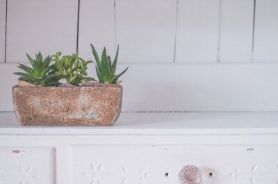 Handcrafted ceramic planter with vibrant green succulent on a rustic wooden table.