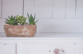 A rustic, rectangular planter containing several small, green succulents. The planter is placed on a white wooden surface with white wooden panels in the background.