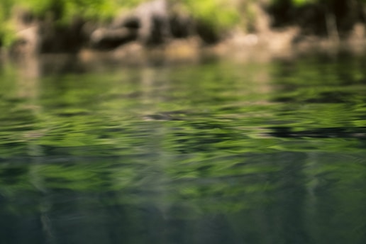 A peaceful and calming scene depicting nature.