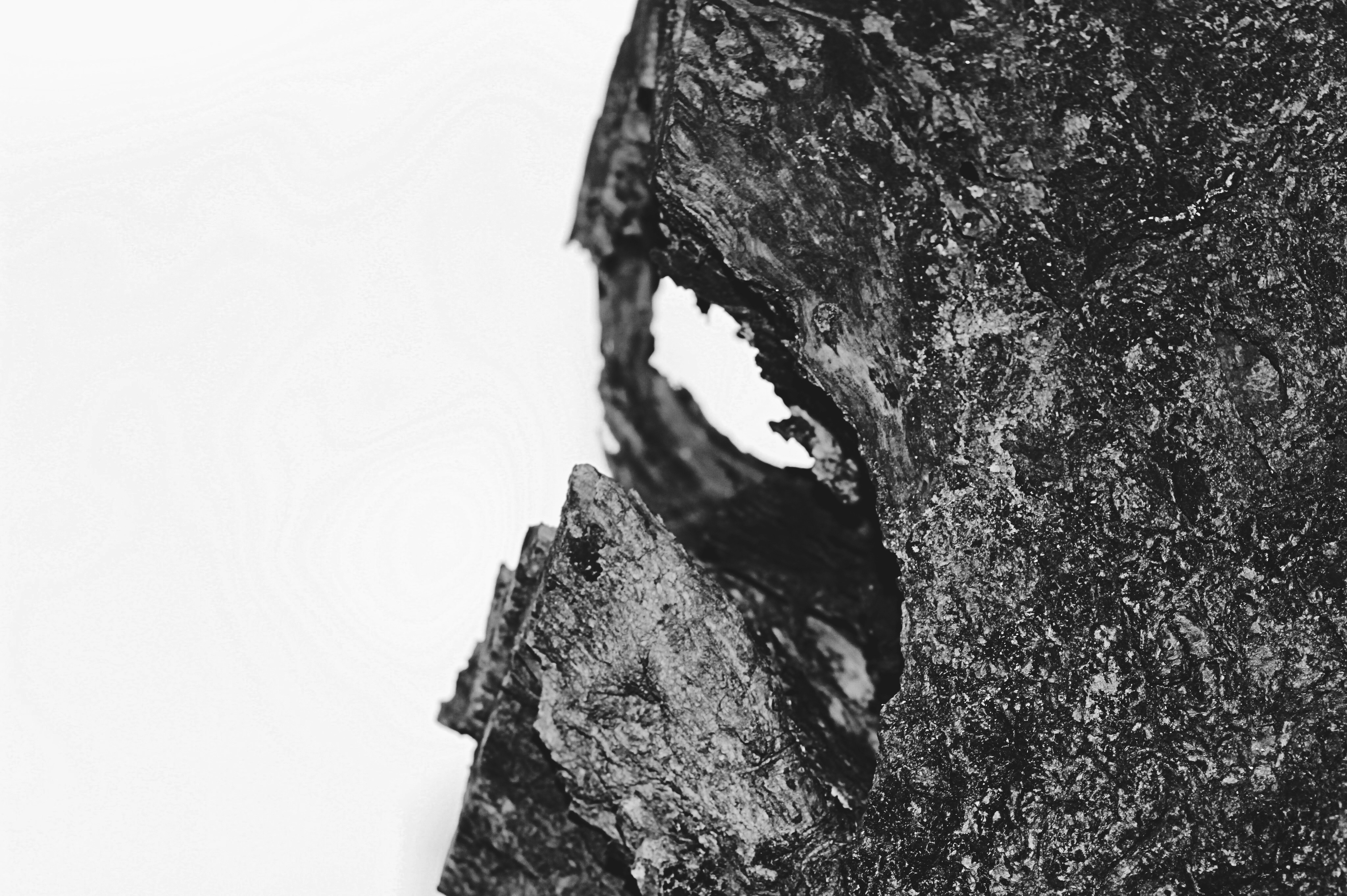 Photo by marcusdsousa