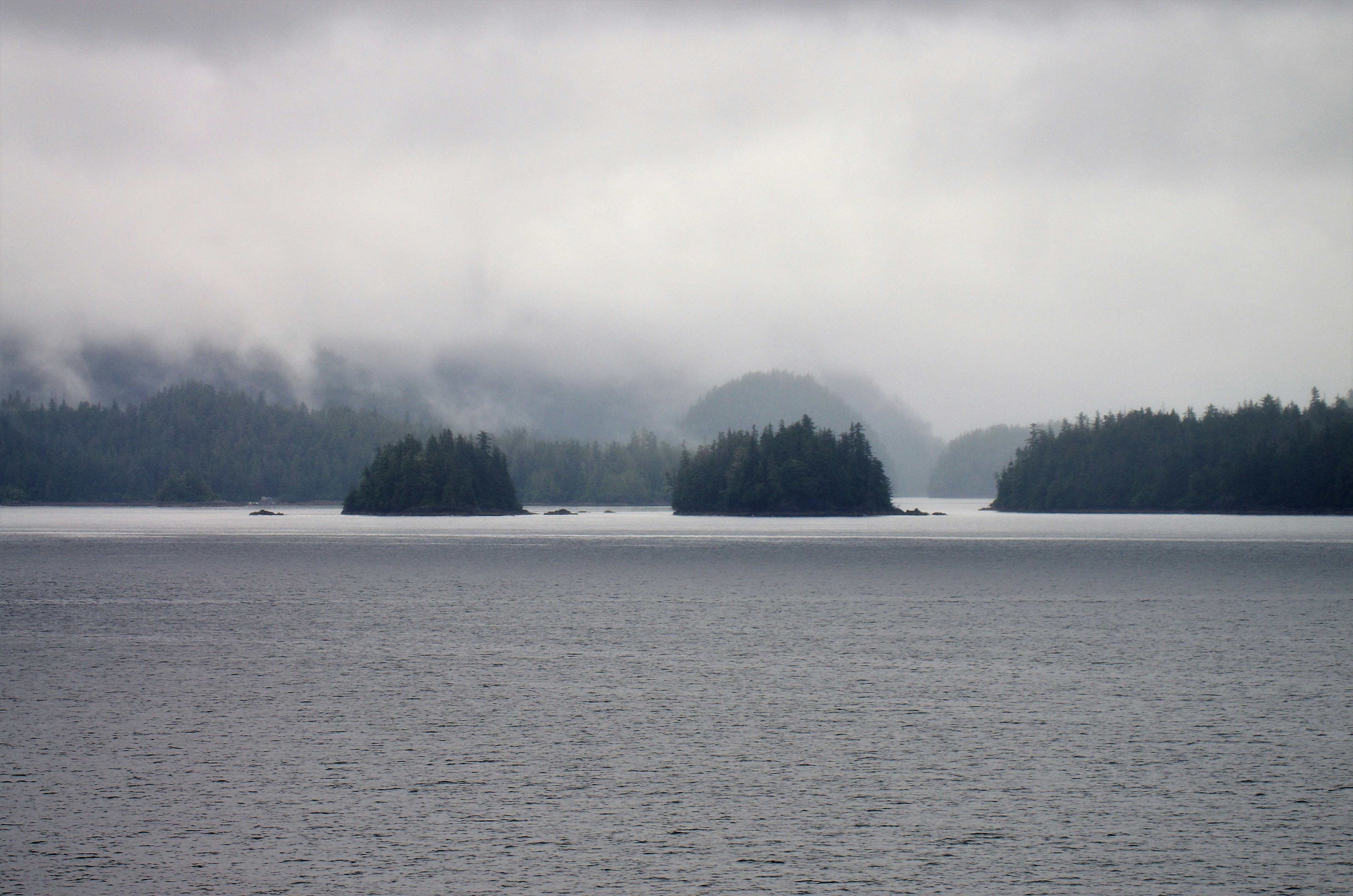 Photo by icehoundphotography