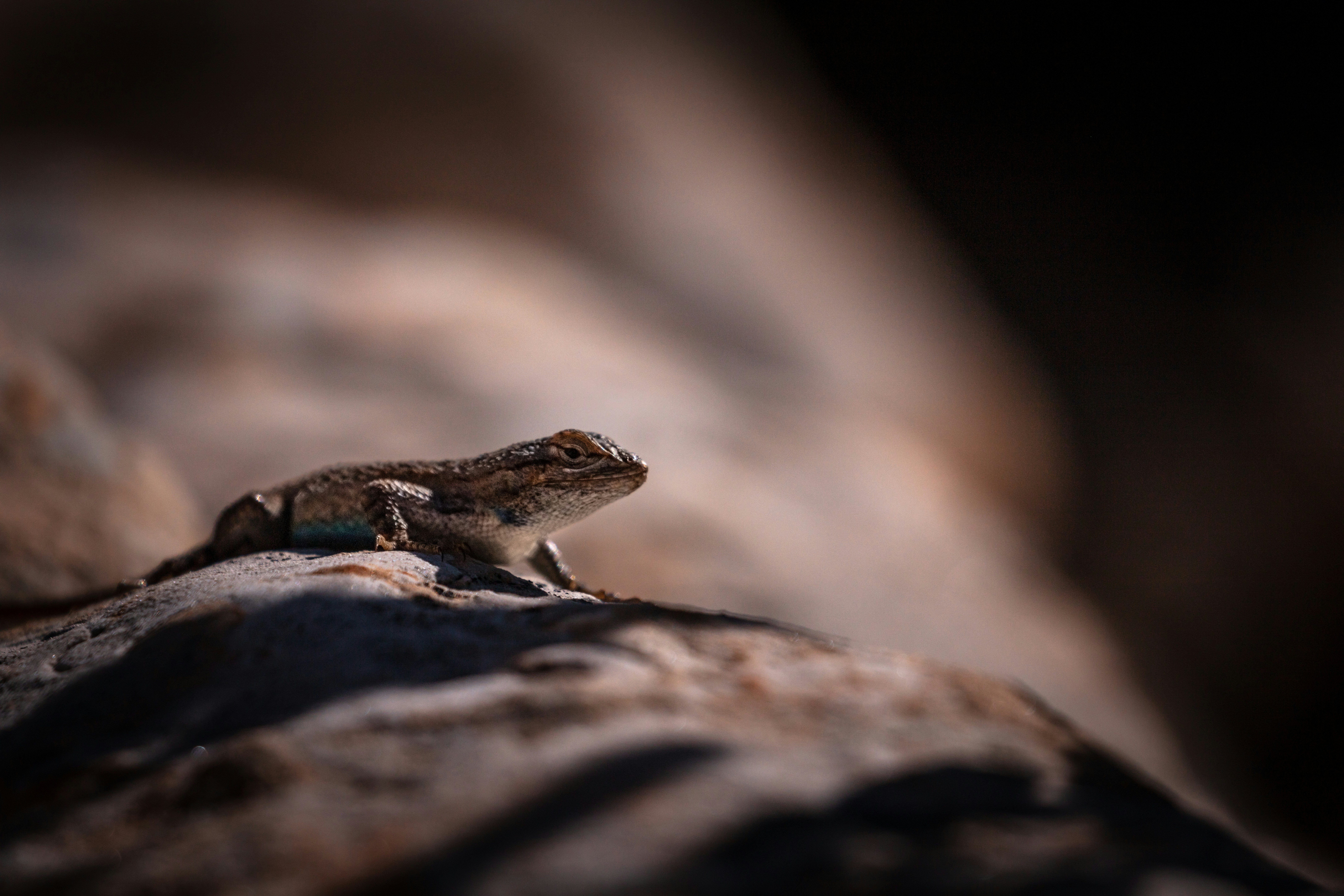 Photo by worldsbetweenlines