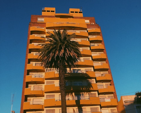 A tall apartment building with a brown and yellow facade stands against a clear blue sky. In front of the building, a large palm tree casts a shadow across the structure. The building has multiple balconies and windows, with a 'for sale' sign displayed on one of the balconies.
