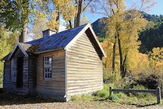 Two rustic wooden cabins surrounded by tall pine trees in a serene forest setting during autumn.