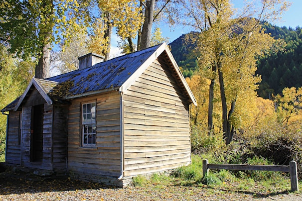 Two rustic wooden cabins surrounded by tall pine trees in a serene forest setting during autumn.