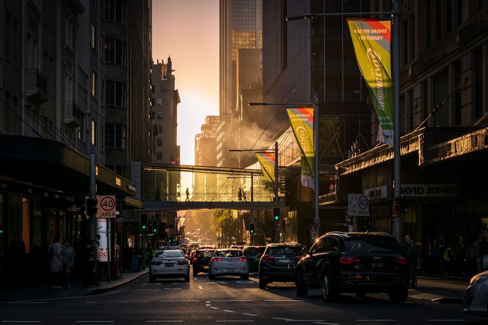 vehicle in road during golden hour