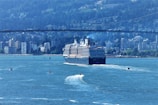 A large cruise ship sails through a wide body of water, surrounded by several smaller boats. In the background, there is a cityscape with numerous buildings and a dense forest area further behind. A bridge spans across the scene, adding a dynamic element to the view.
