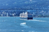 A large cruise ship sails through a wide body of water, surrounded by several smaller boats. In the background, there is a cityscape with numerous buildings and a dense forest area further behind. A bridge spans across the scene, adding a dynamic element to the view.