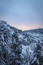 Kasauli