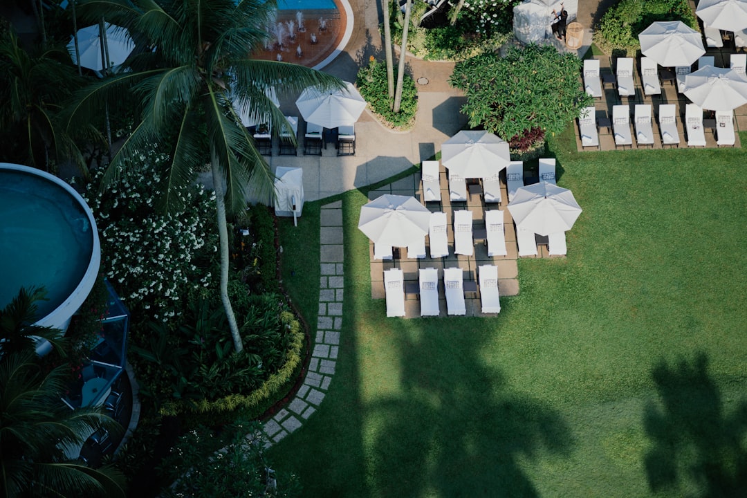 aerial photography of a swimming pool resort