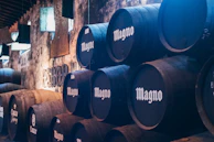 Wooden barrels aging guava distillates in a rustic cellar with soft natural light.