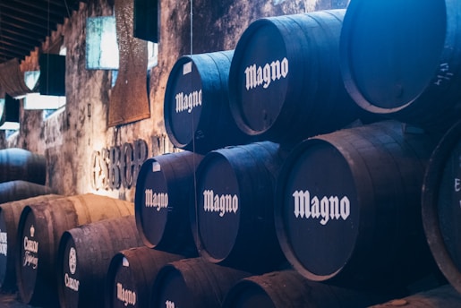 Wooden barrels with the word 'Magno' are stacked in a dimly lit cellar. The setting has rustic, textured walls and some ambient light filtering through small windows, creating a warm and nostalgic atmosphere.