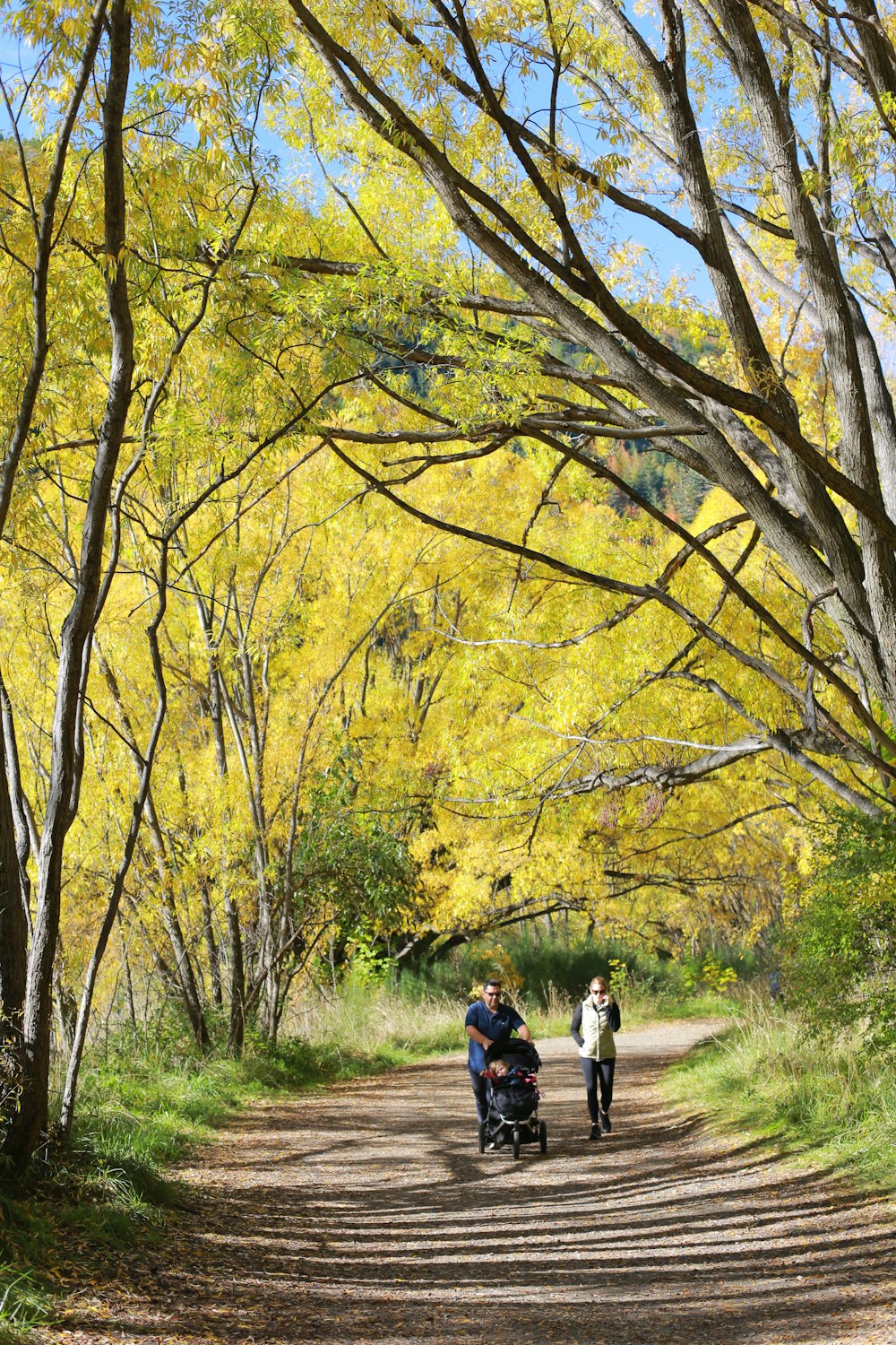 two person standing at pathway in the forest