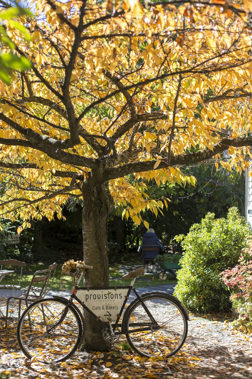 Bicicleta estacionada cerca de un árbol de hojas amarillas