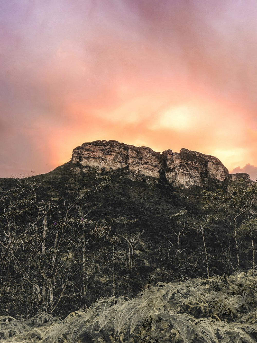 Grauer und grüner Felsberg