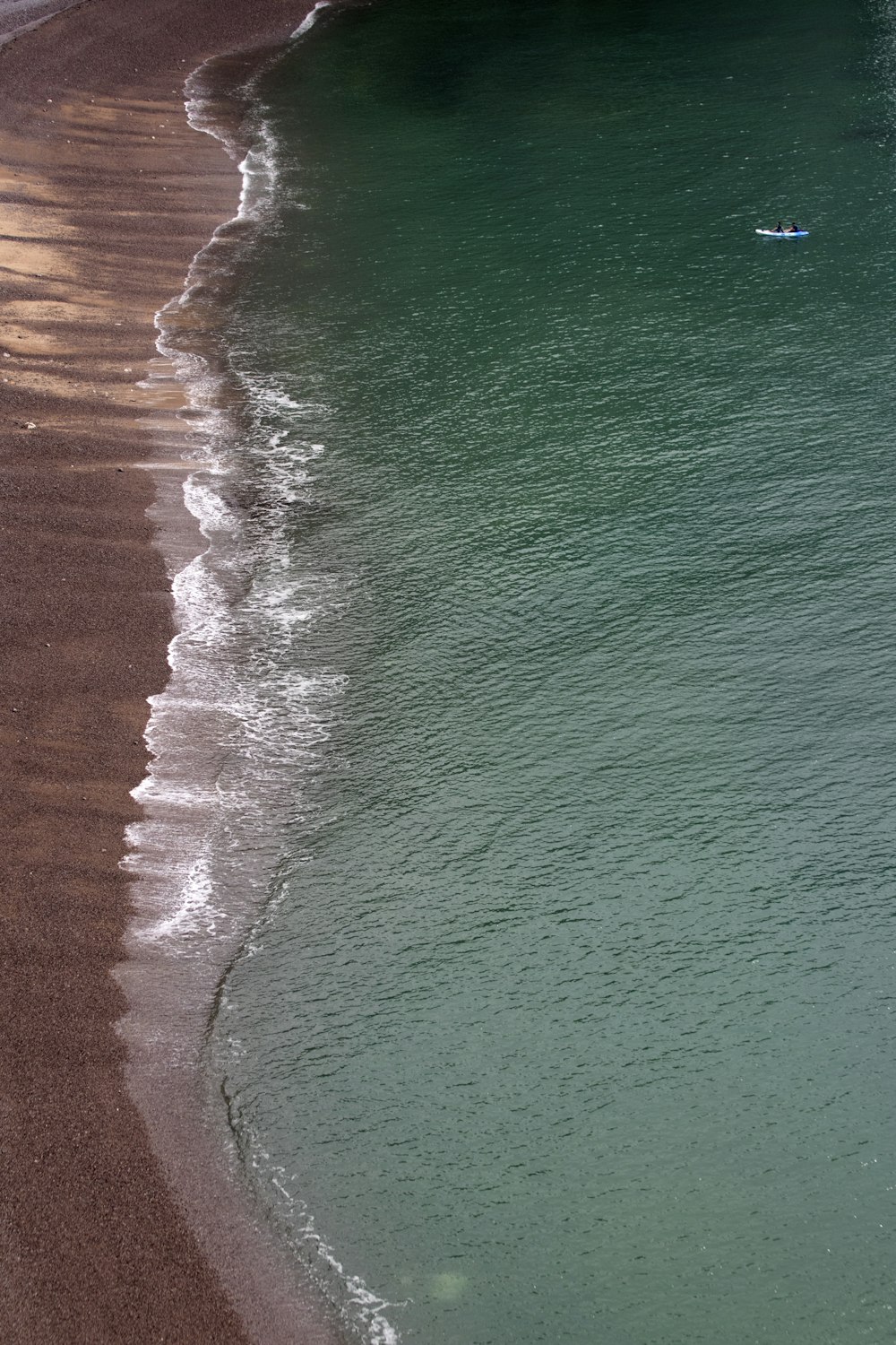 aerial photo of brown shoreline