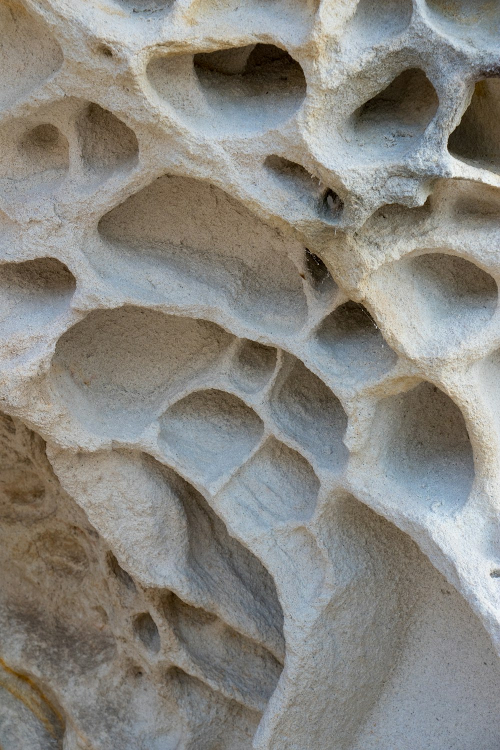 a close up of a rock formation with holes in it