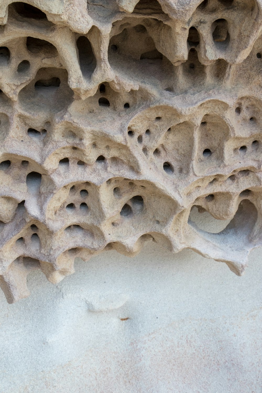 a close up of a rock formation with holes in it