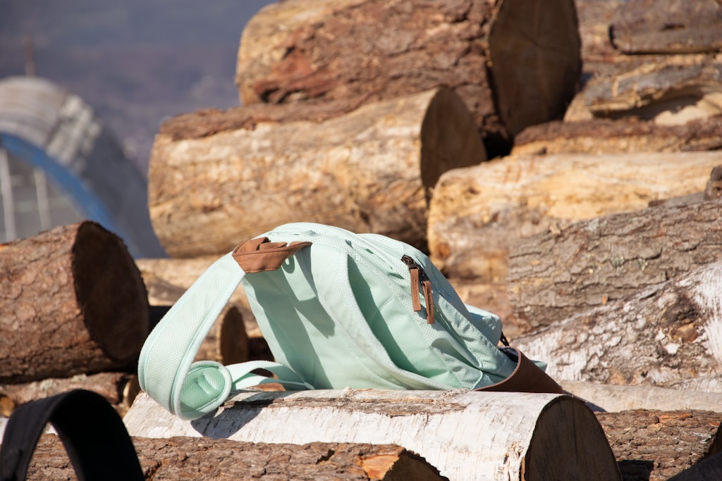Leather Backpack