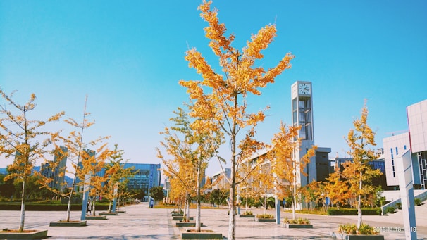 A clean, modern calendar interface highlighting upcoming civic events with orange and dark green accents.