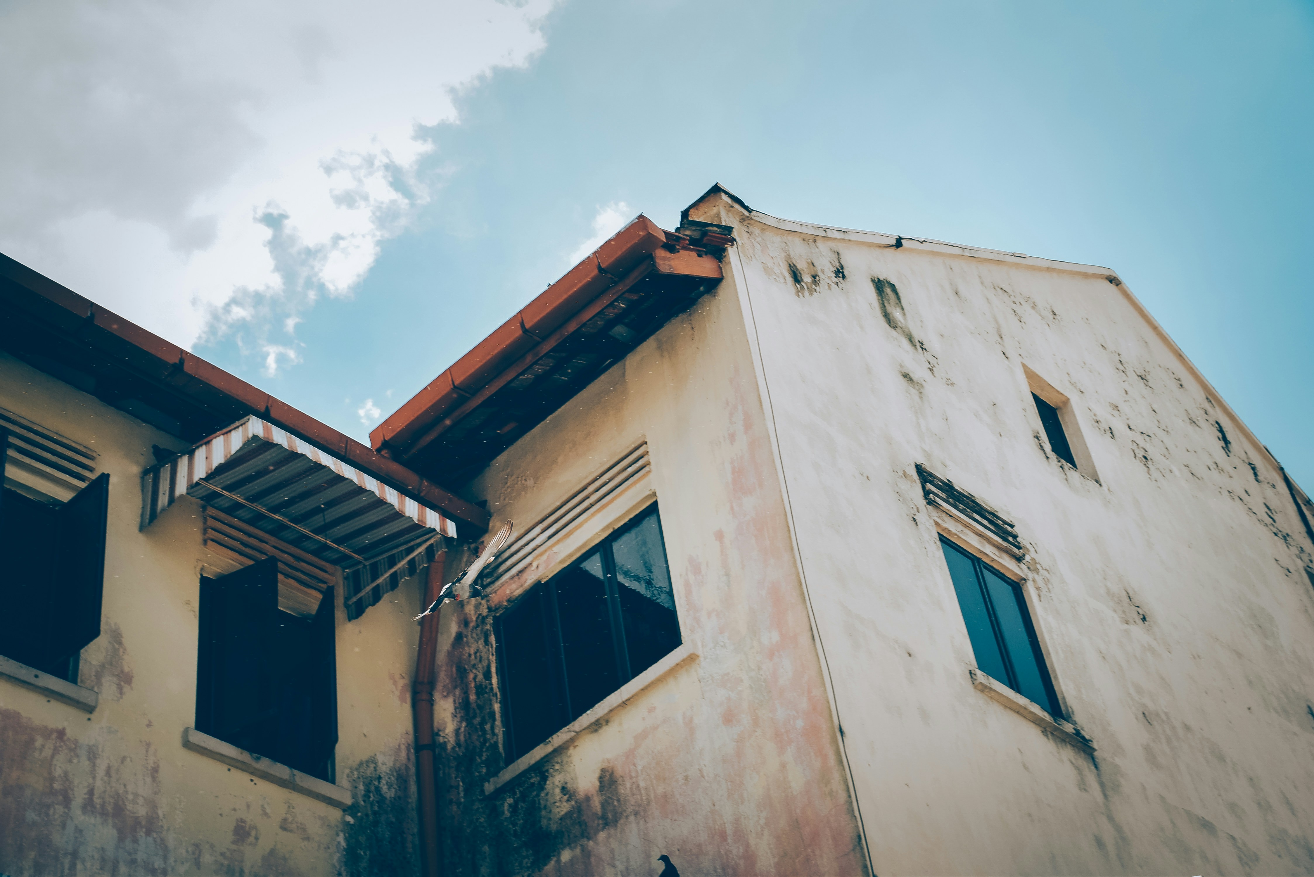 Photo by ginnie_nguyen