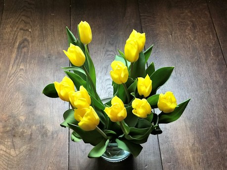 A bouquet of bright yellow tulips arranged in a glass vase, placed on a wooden surface. The flowers have lush green leaves that complement the vibrant yellow petals, creating a pleasing visual contrast.