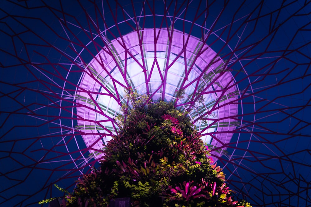 pink flowers with green leaves tower inside building