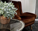 Plush armchair beside a small coffee table with a plant.