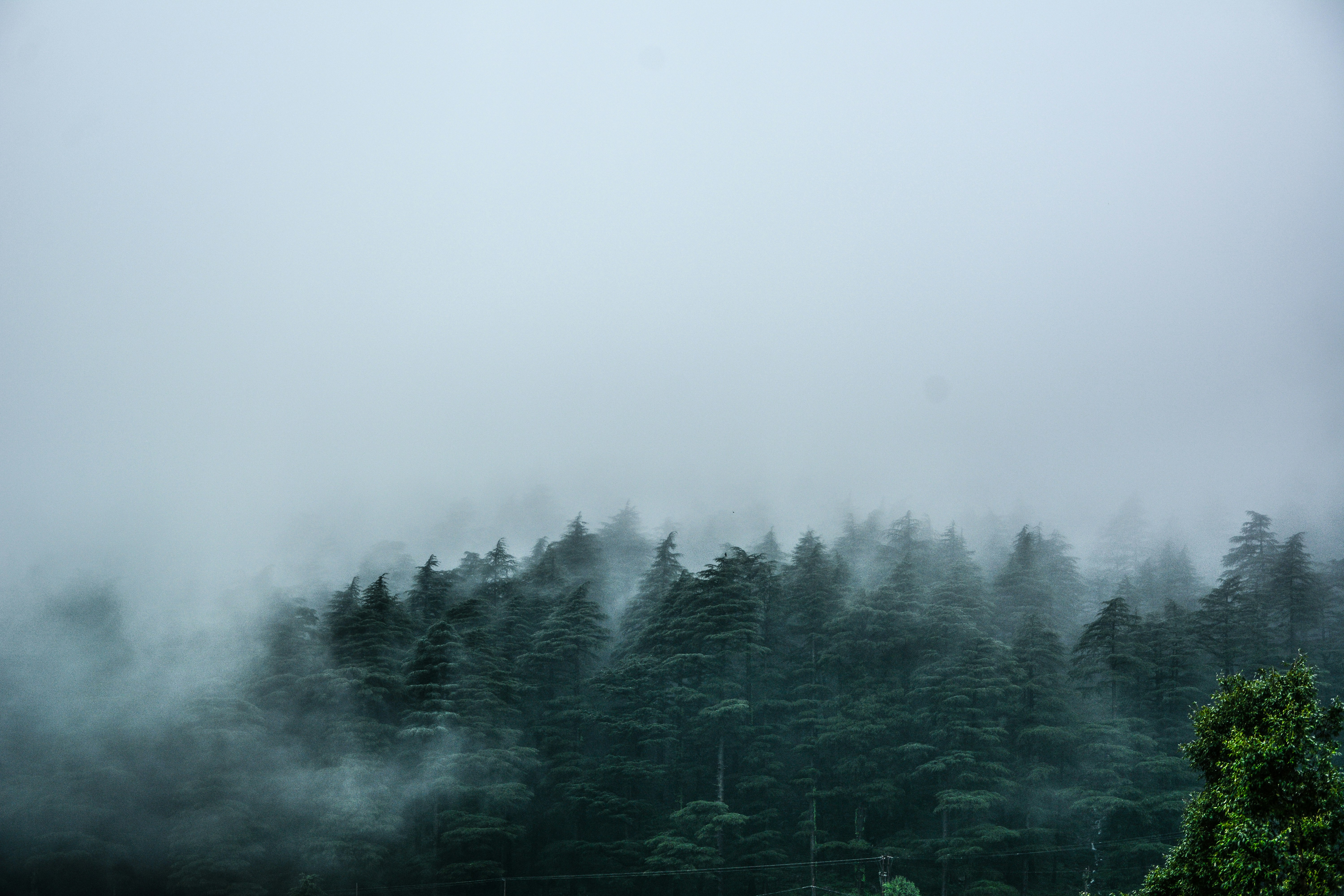 Photo by mitulgrover