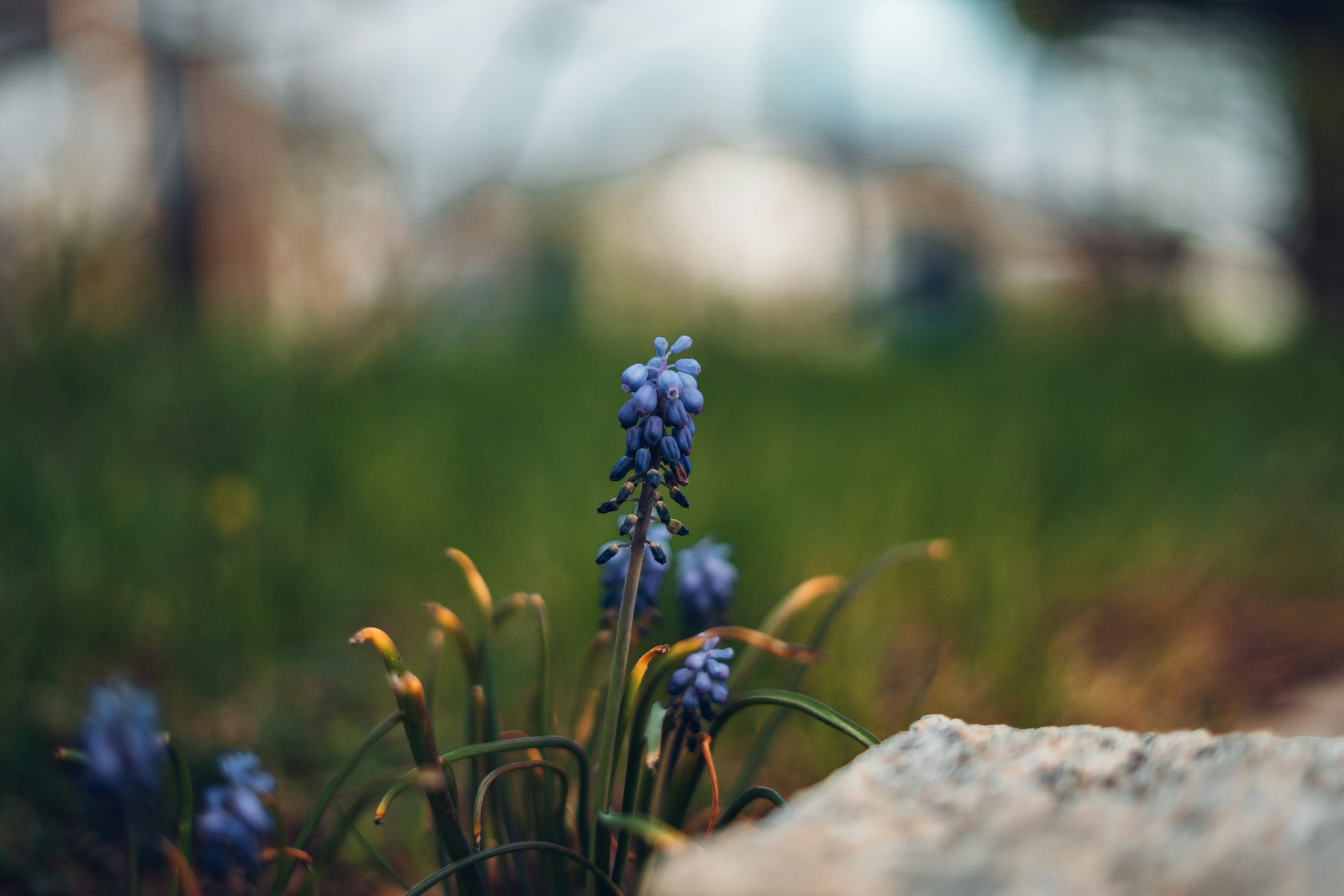 Photo by julianhochgesang