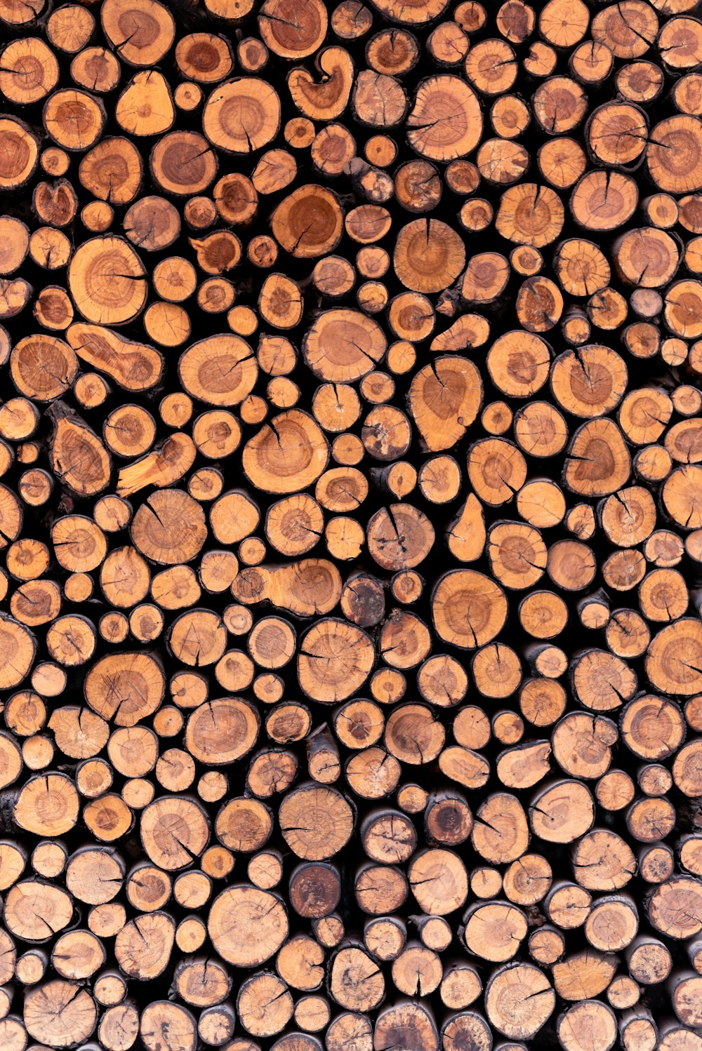 brown firewood cord