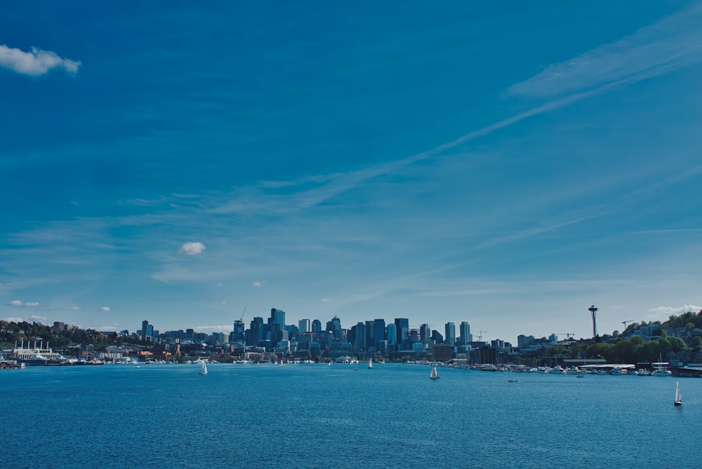 city skyline at daytime