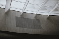 Glass panels create a modern architectural ceiling design with linear patterns visible through the framework. Below, vertical wooden slats form a minimalist aesthetic on the wall.