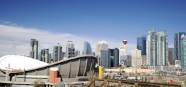 Calgary city view