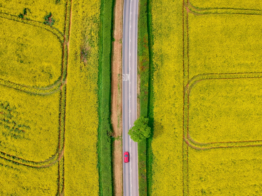 Foto aérea de un campo de hierba