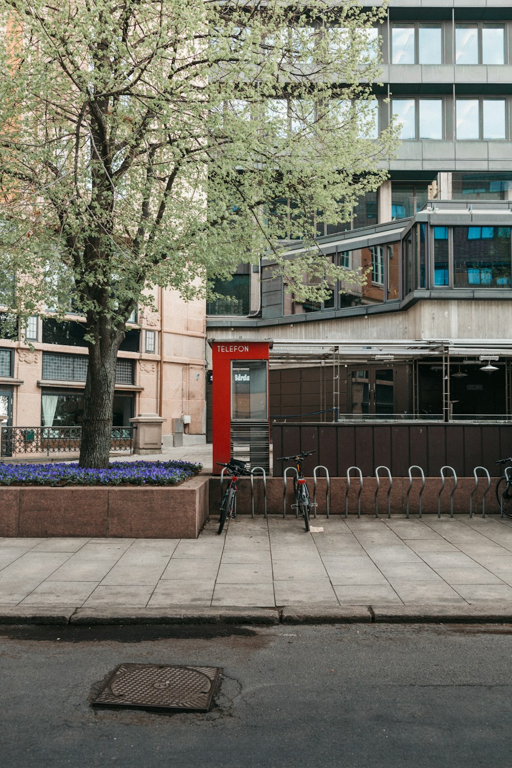 green tree beside building