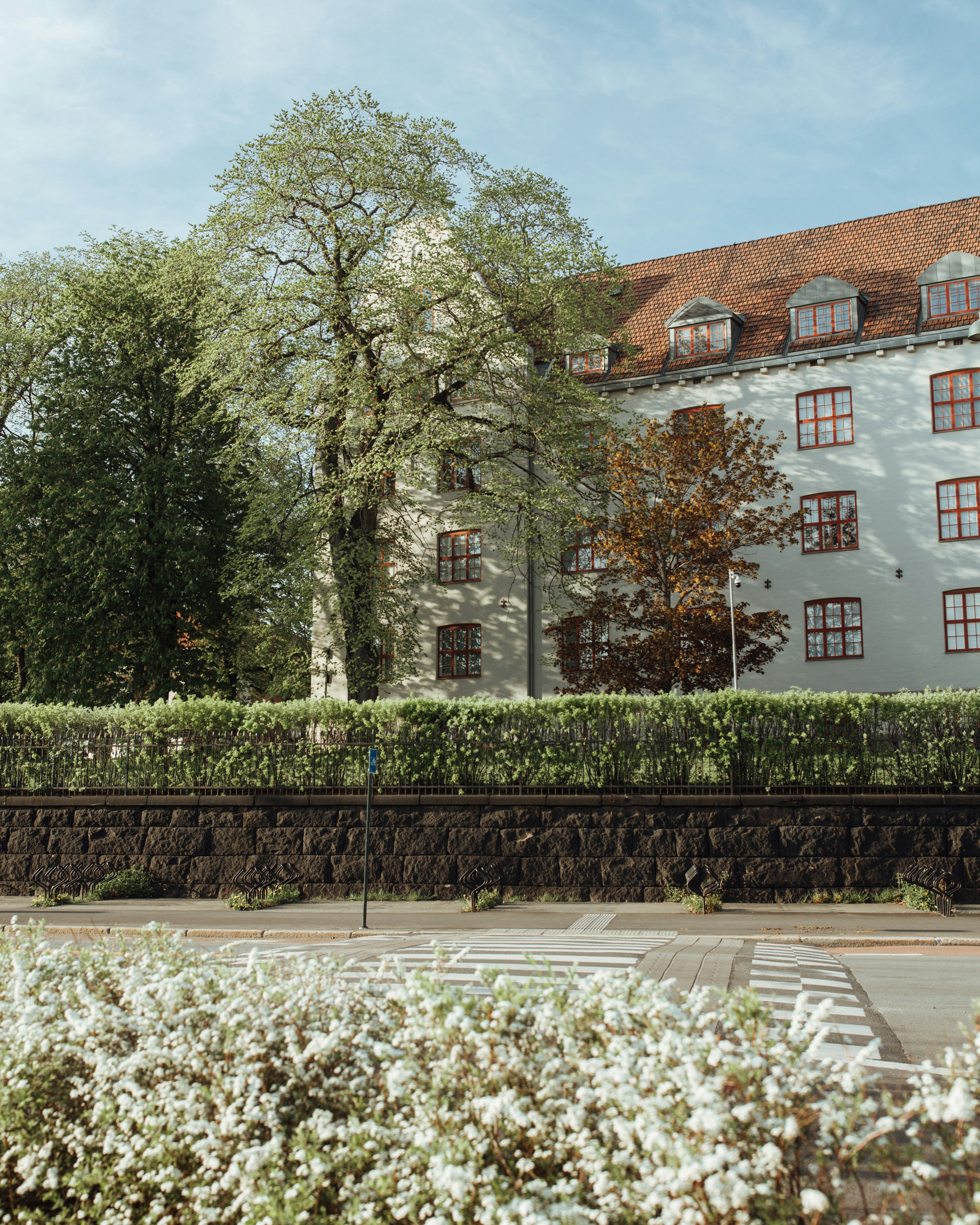 tree beside house photo – Free House Image on Unsplash
