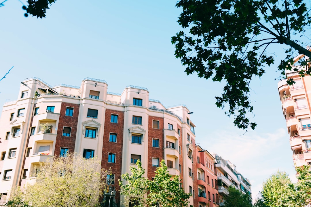 white and brown concrete buildings near tree at daytime