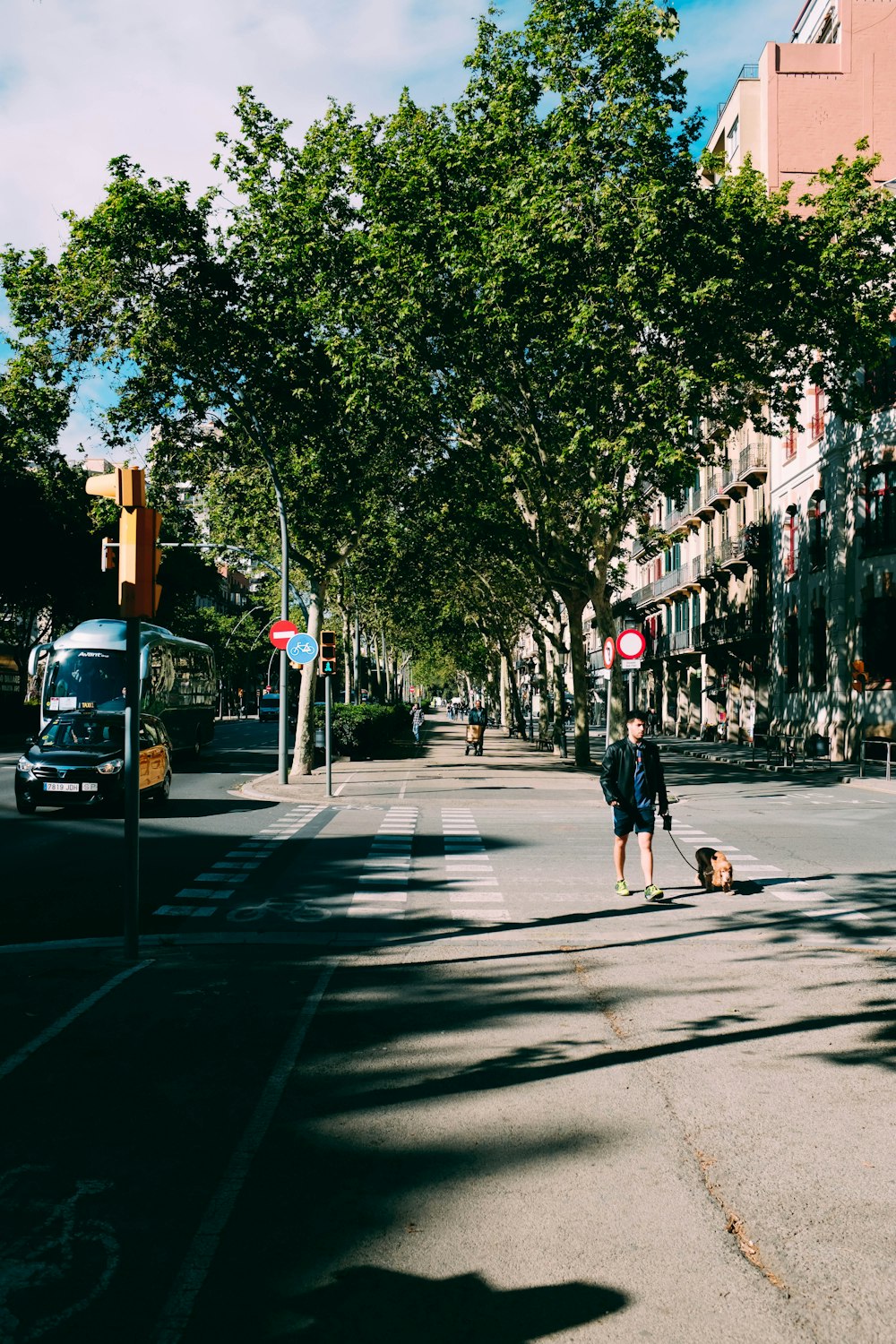 man walking with dog on road under blue sky