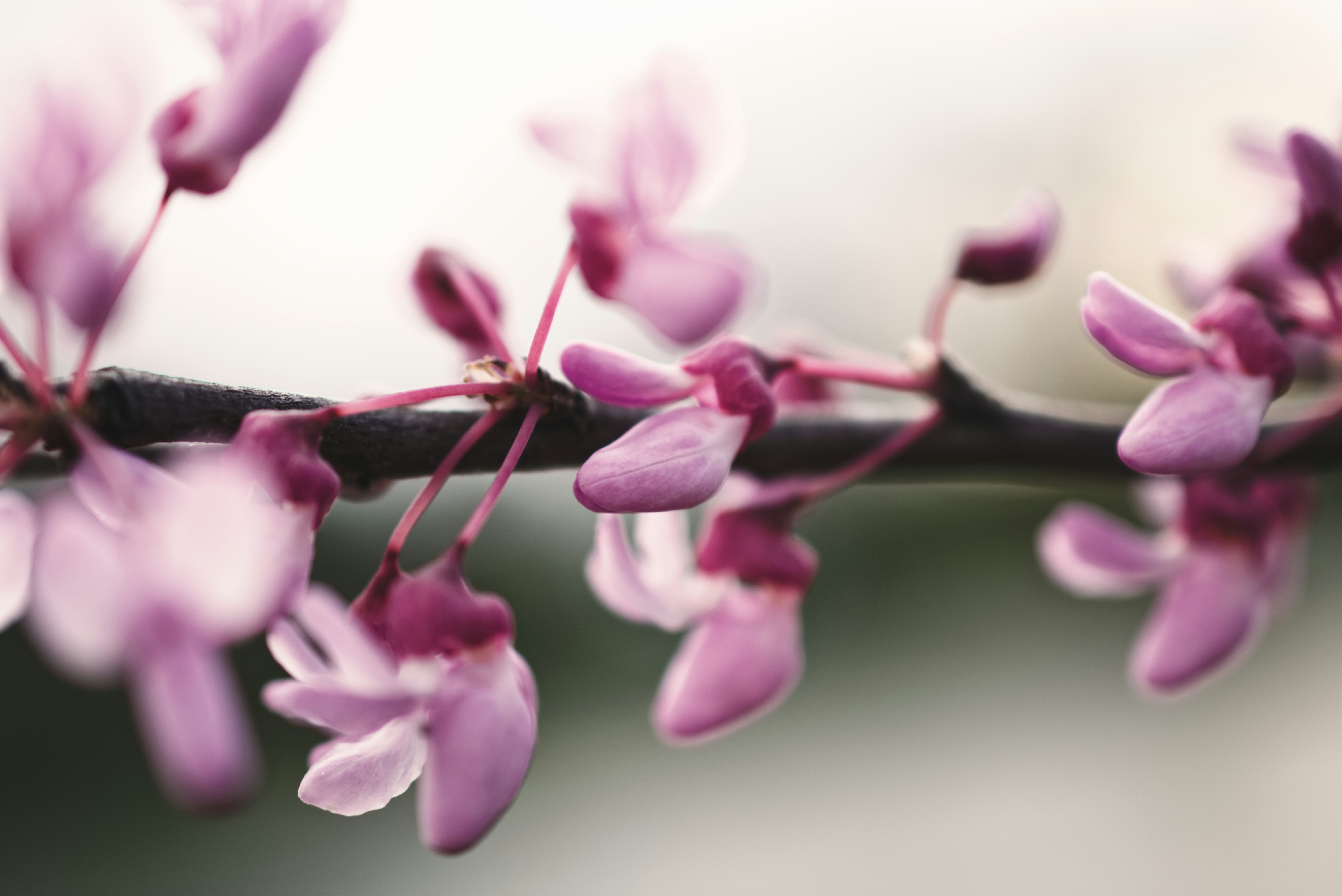 Photo by ldpeterson11